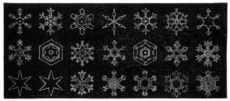 HAVE YOU EVER SEEN SNOWFLAKES THROUGH A MICROSCOPE?